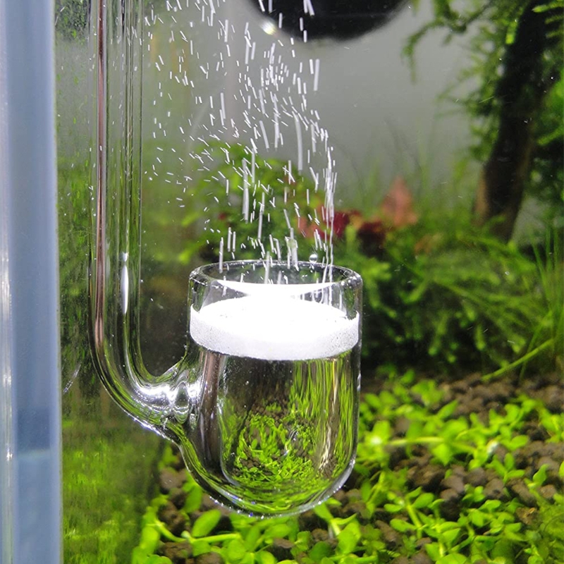 D0AD Glass CO2 Diffuser for Aq - огляд і ціна Aquarium Plant Design