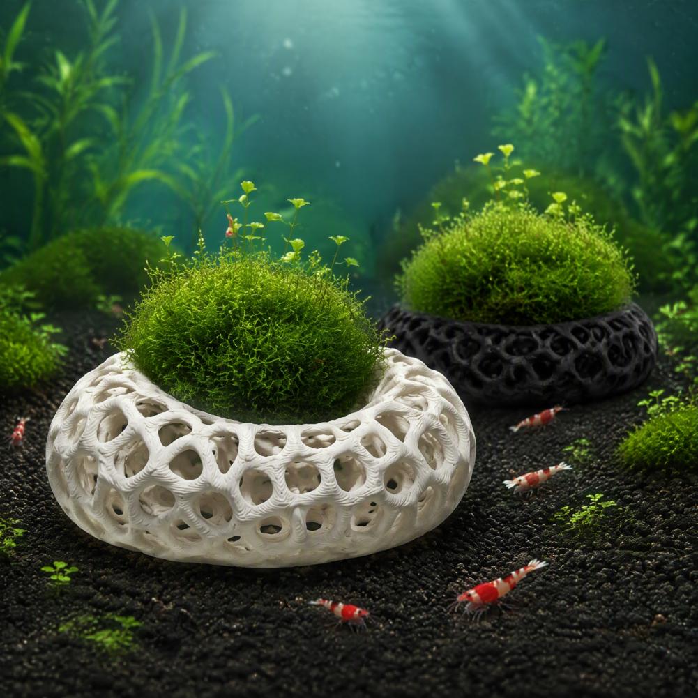 Aquarium Plant Holder 2-pack S - огляд і ціна Planted Aquarium Anubias