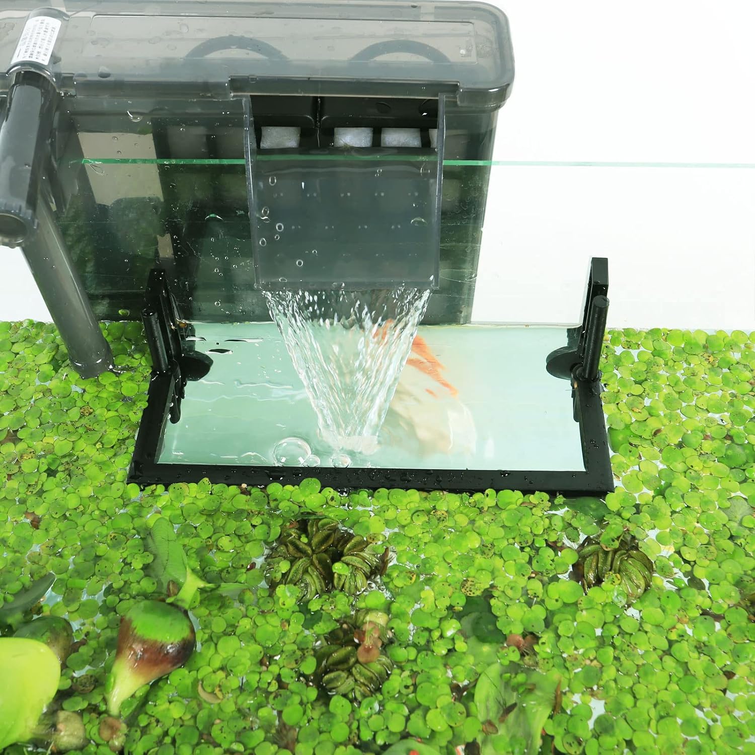 Aquarium Floating Plant Corral - огляд і ціна Planted Aquarium Heater