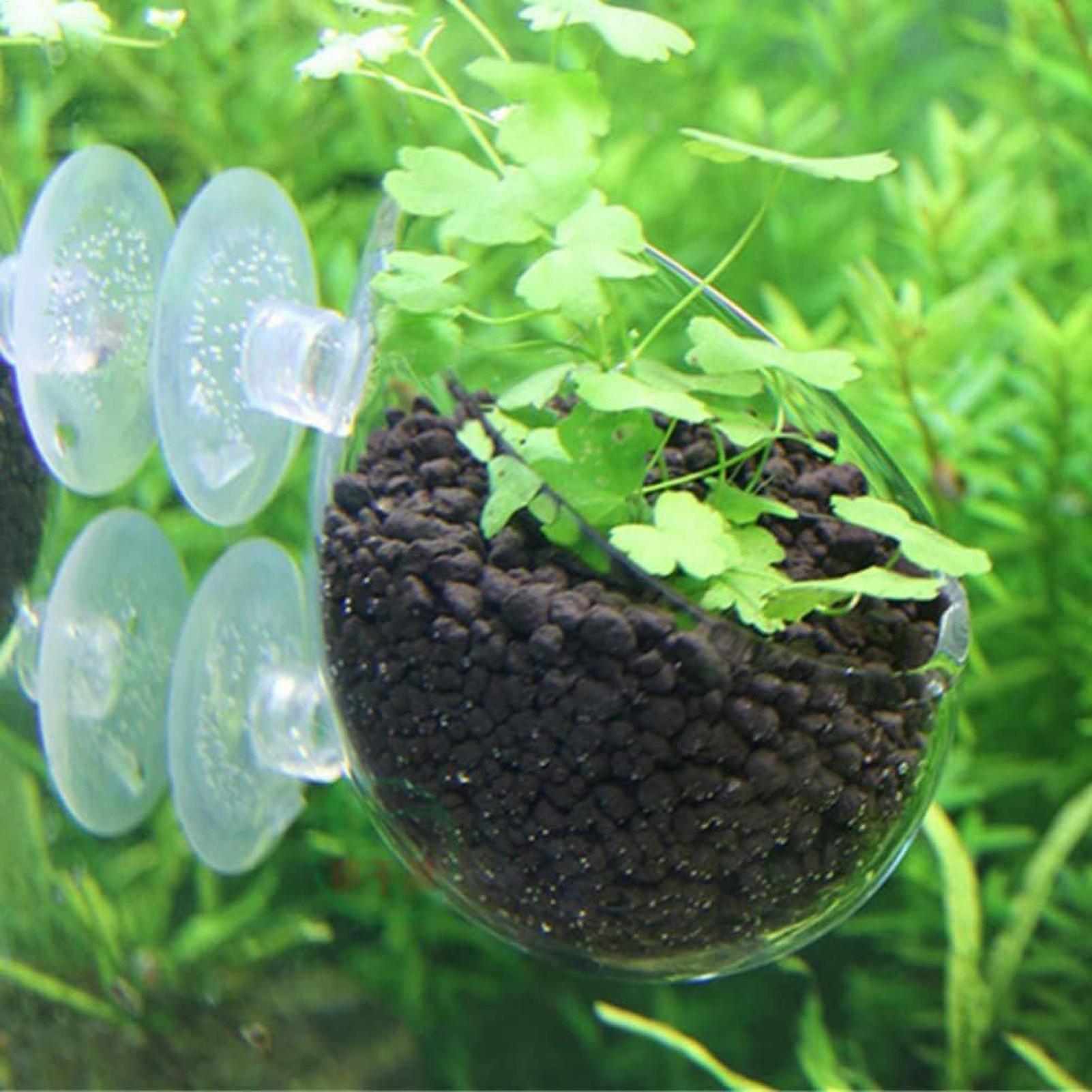 Aquarium Plant Holder Glass Aq - огляд і ціна Aquarium Plant Design