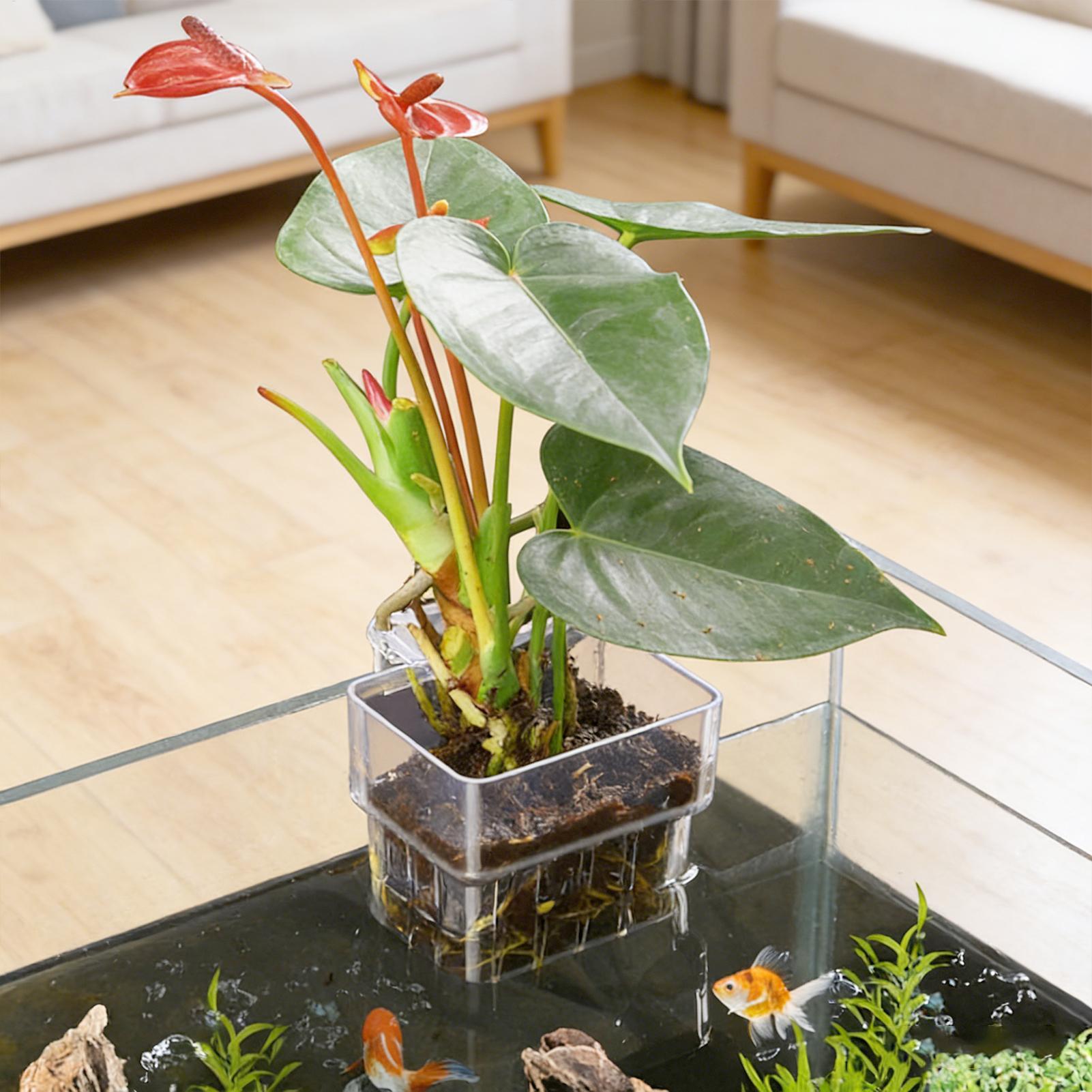 Aquarium Plant Basket Transpar - огляд і ціна Aquarium Plant Design